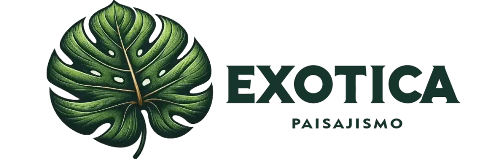 logo horizontal para web mesa de trabajo 1 copia 3